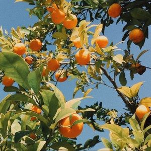 Meet your Posher, Rehanna